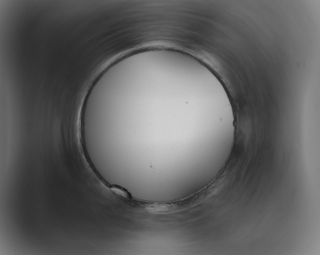 X0000089391199200706291329