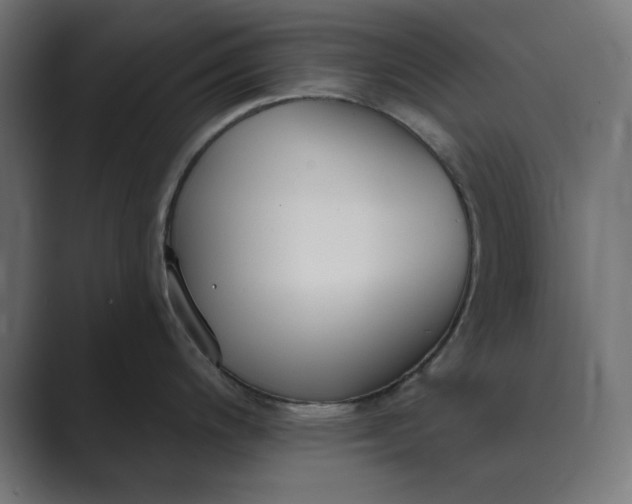 X0000089391200200706291329