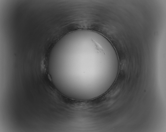 X0000089391202200706291328
