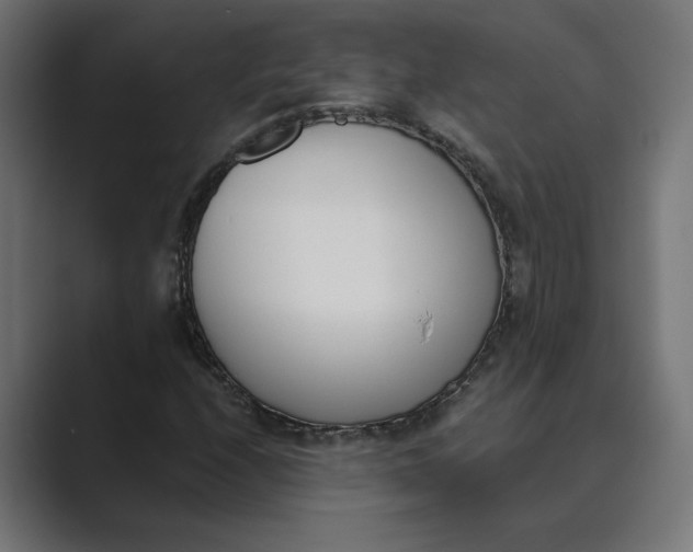 X0000089391208200706291328