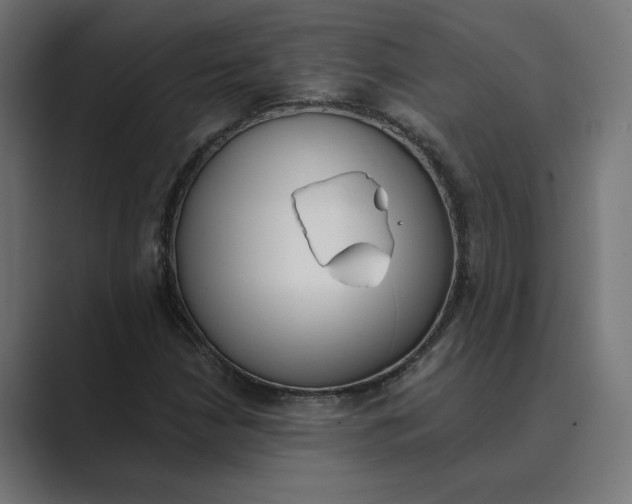 X0000089391210200706291328