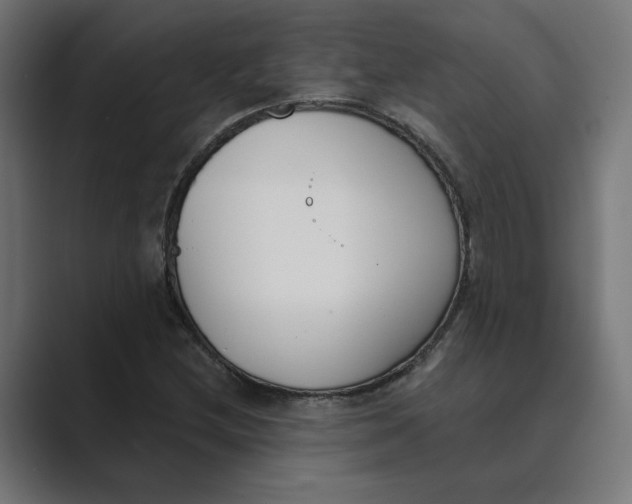 X0000089391212200706291328