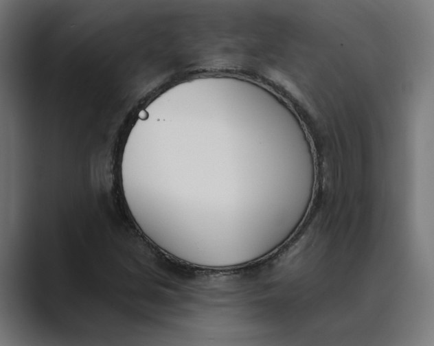 X0000089391213200706291328