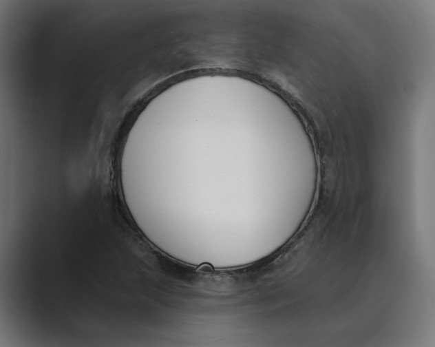 X0000089391215200706291328