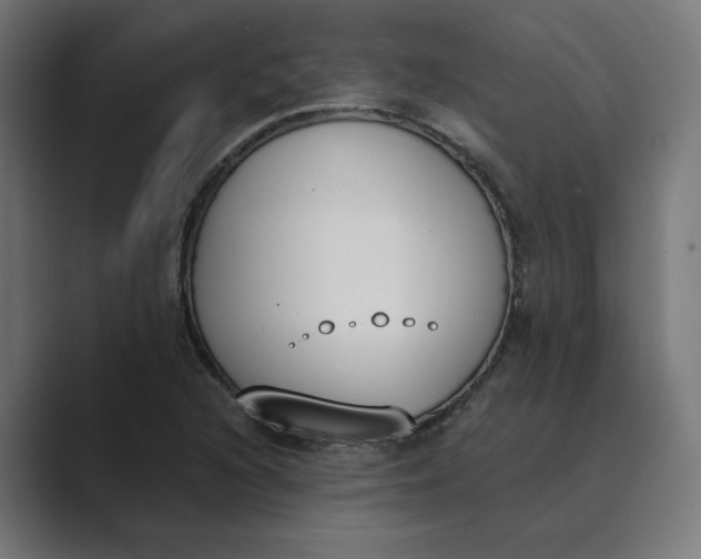X0000089391216200706291328