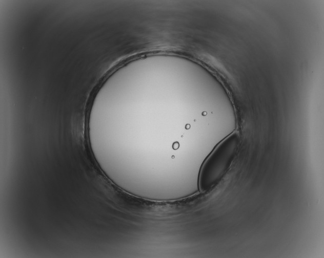 X0000089391220200706291328