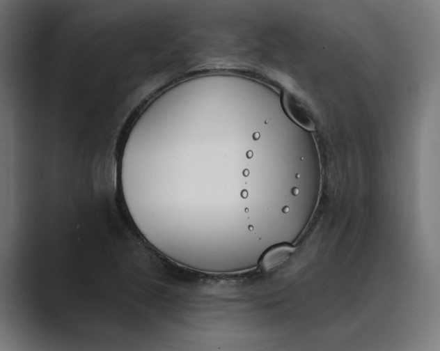 X0000089391221200706291328