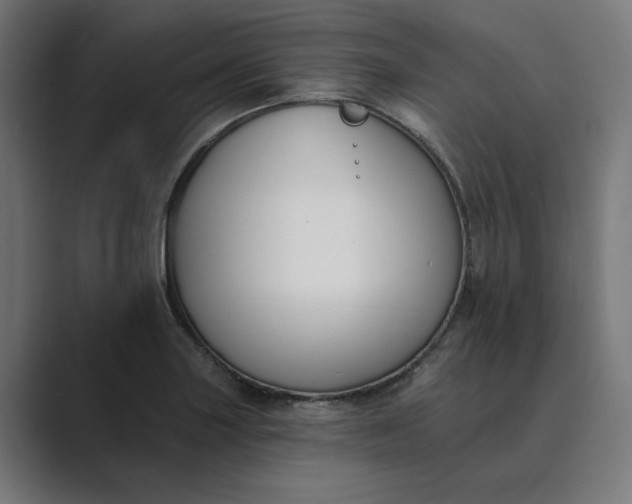 X0000089391227200706291329