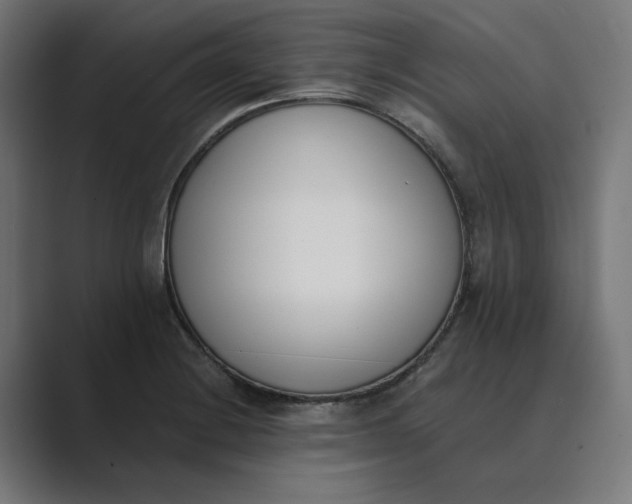 X0000089391228200706291329