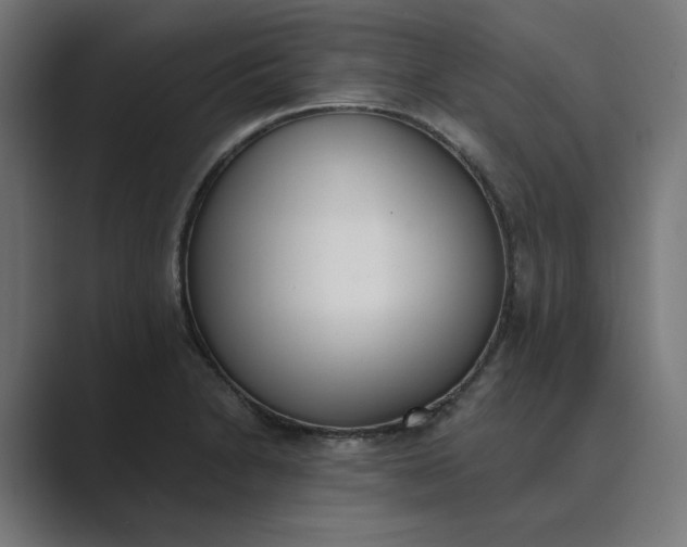 X0000089391230200706291329