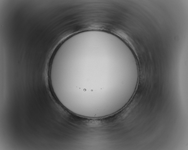 X0000089391235200706291329