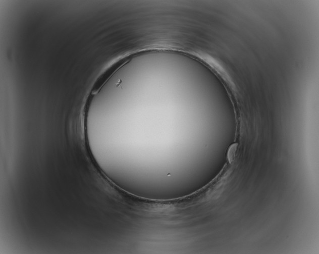 X0000089391238200706291329
