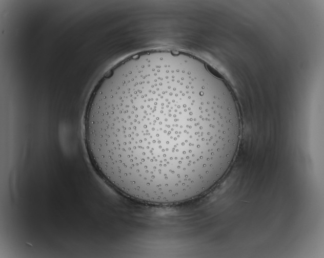 X0000089391239200706291329