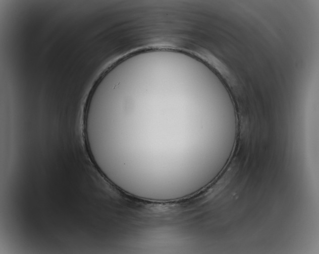 X0000089391240200706291329