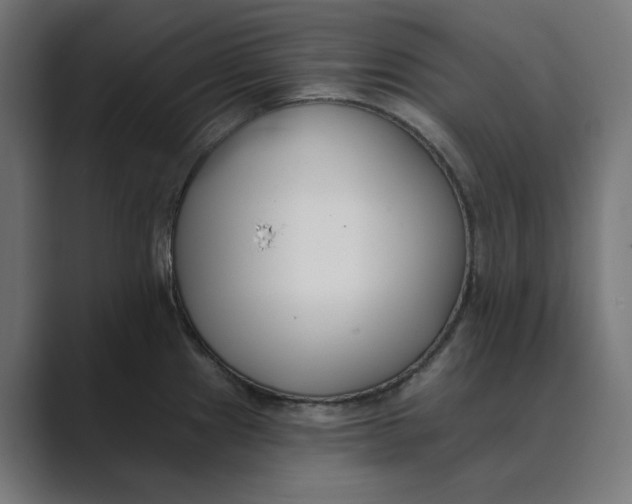 X0000089391241200706291329