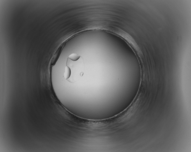 X0000089391242200706291329