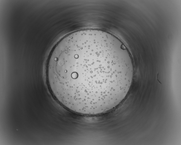X0000089391243200706291329