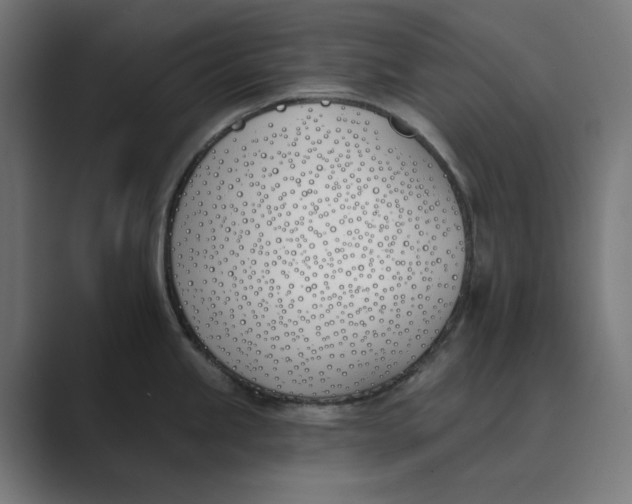 X0000089391245200706291329