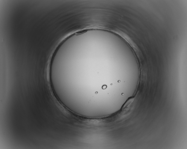 X0000089391246200706291329