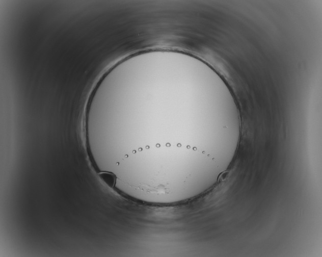 X0000089391247200706291329