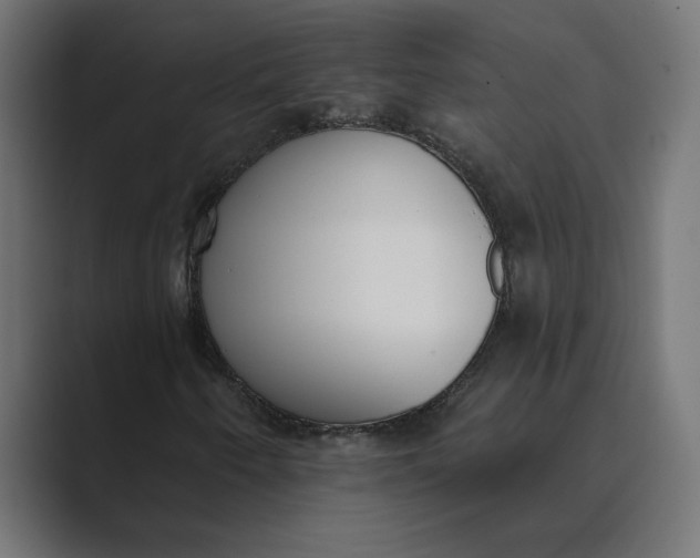 X0000089391250200706291328