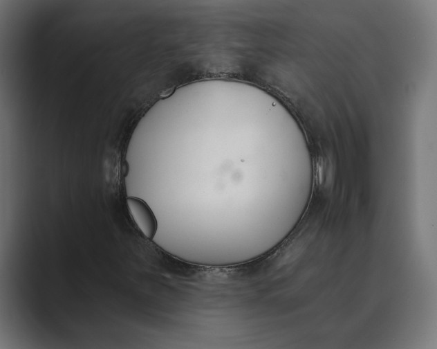 X0000089391251200706291328