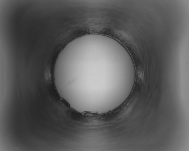 X0000089391252200706291328