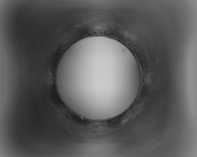X0000089391253200706291328