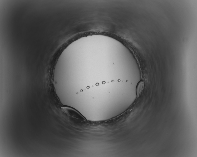 X0000089391256200706291328