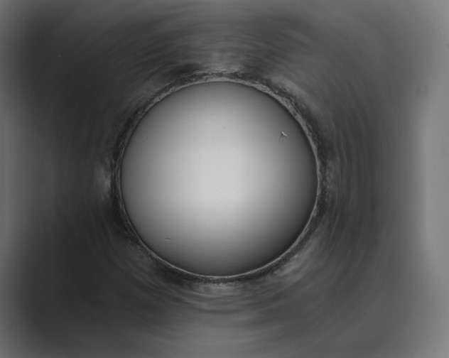 X0000089391257200706291328