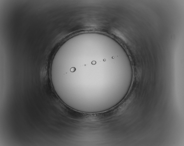 X0000089391259200706291328