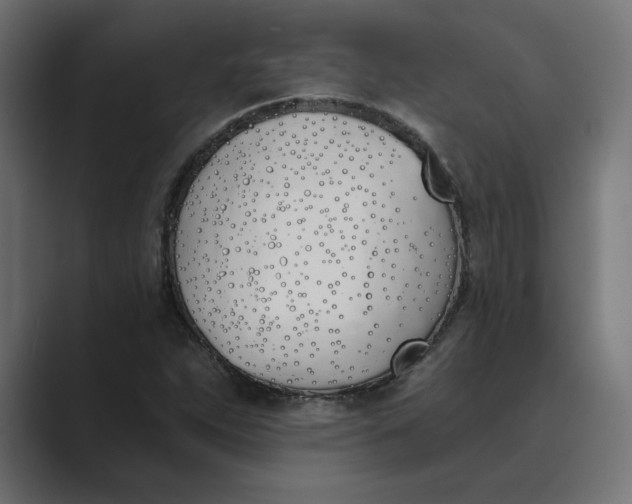 X0000089391263200706291328