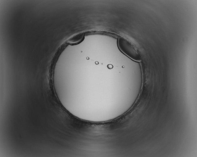 X0000089391264200706291328