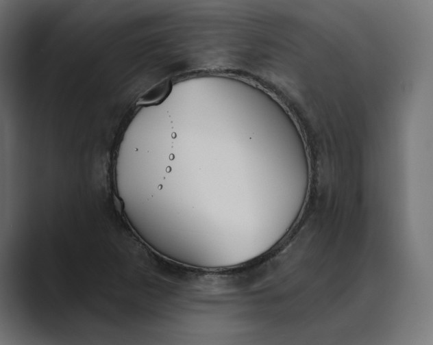 X0000089391265200706291328