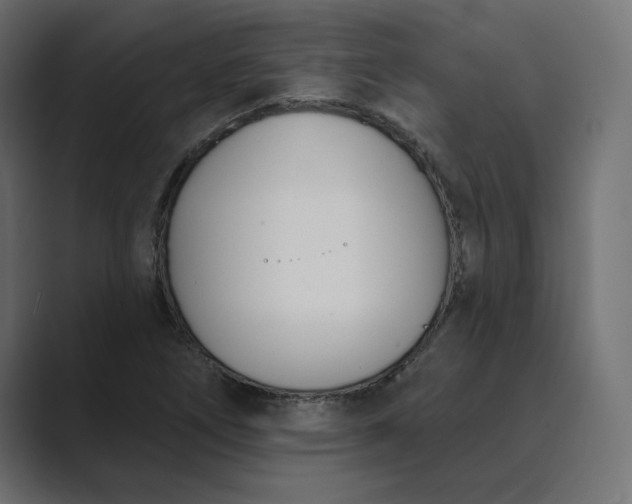 X0000089391266200706291328