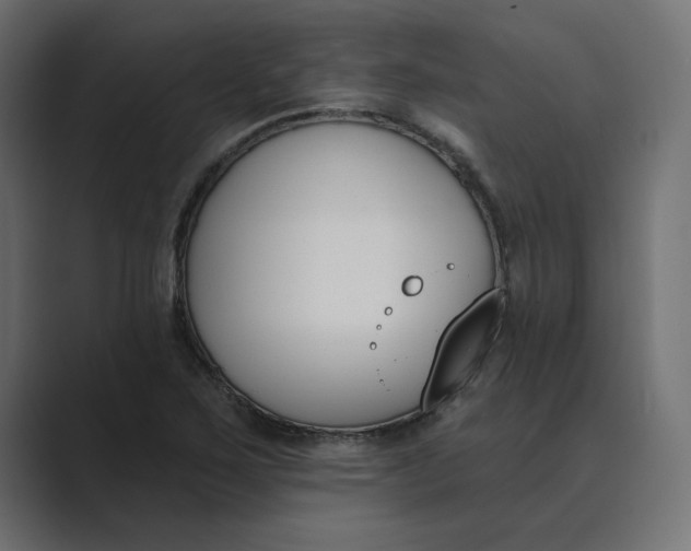 X0000089391267200706291328