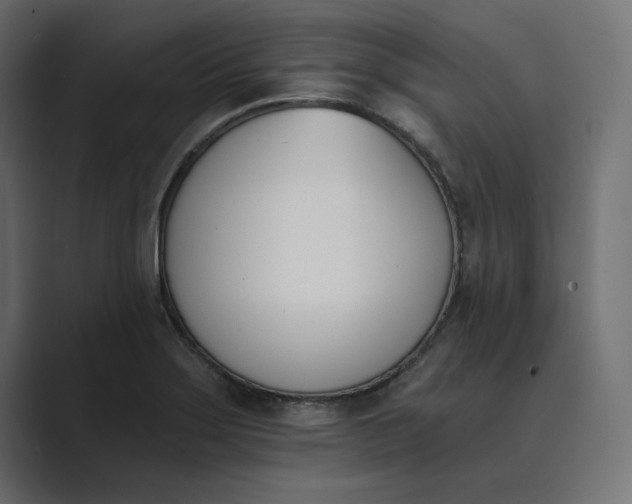 X0000089391275200706291328