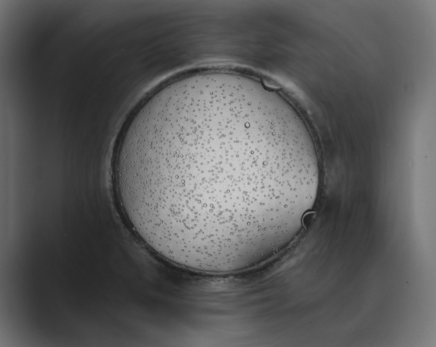 X0000089391279200706291328