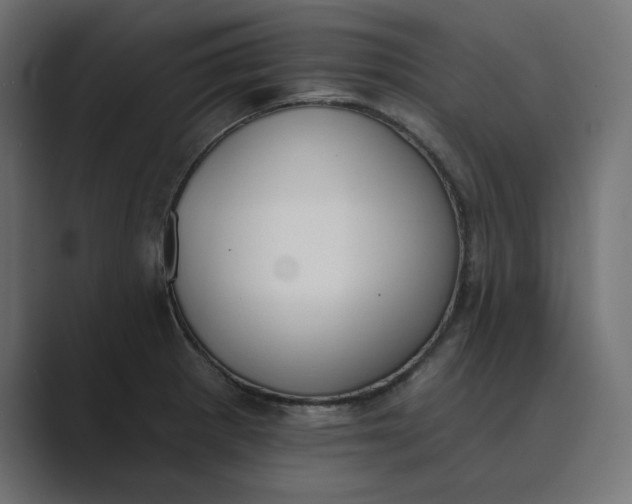X0000089391281200706291328