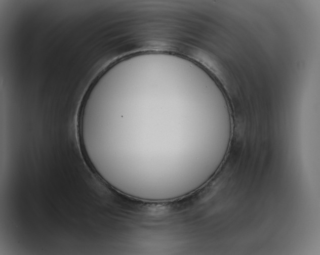 X0000089391283200706291328