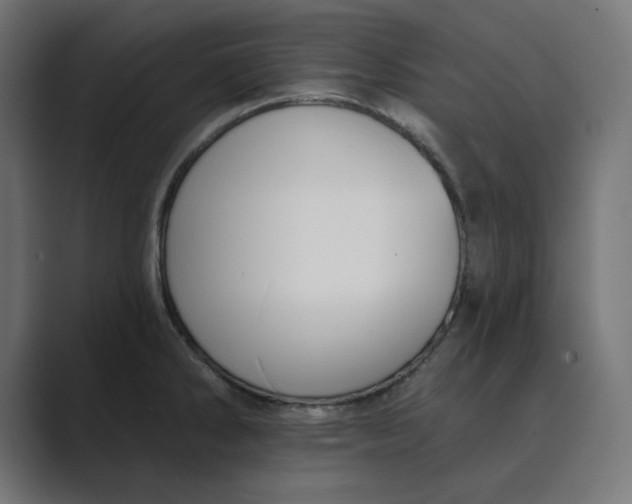X0000089391286200706291328