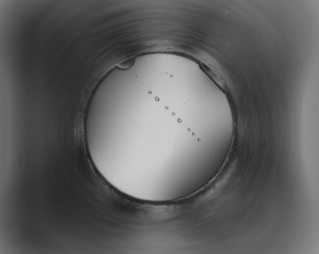X0000089391289200706291328