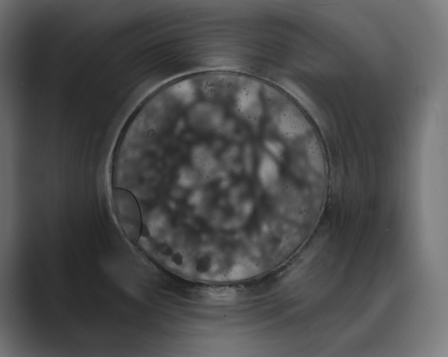X0000089391291200706291328