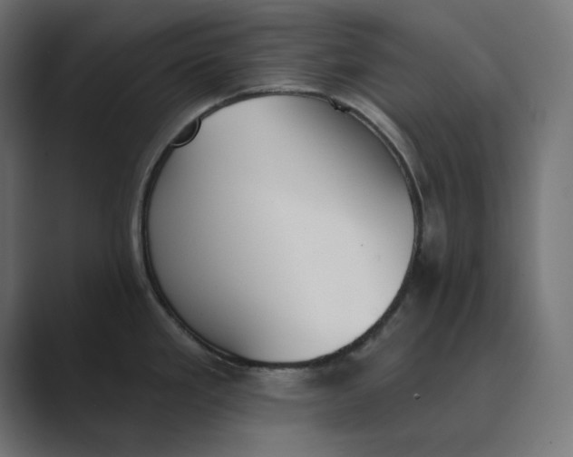 X0000089391293200706291328