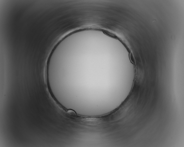 X0000089391295200706291328