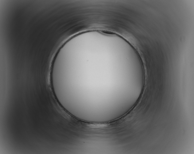 X0000089391296200706291328