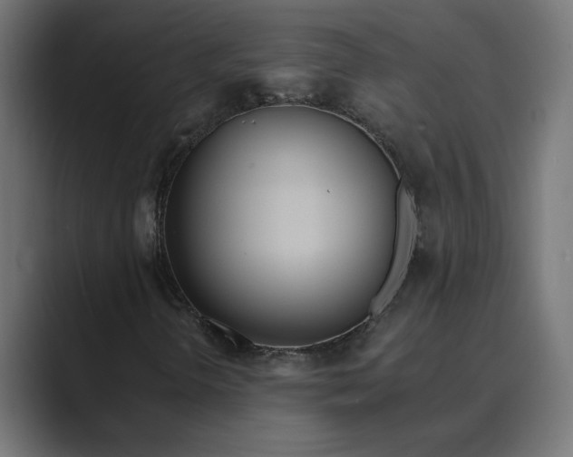 X0000089391298200706291327