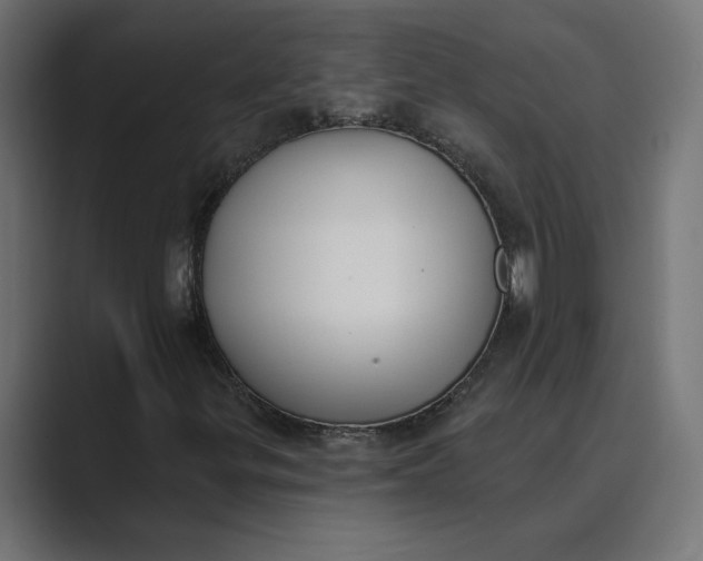 X0000089391299200706291327