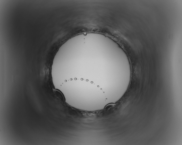 X0000089391302200706291327