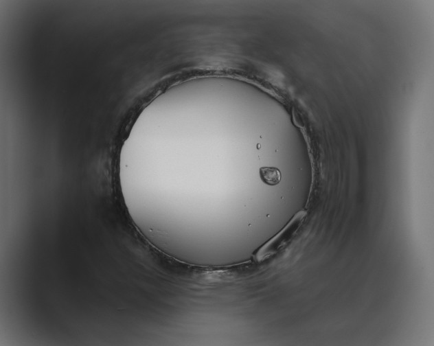 X0000089391304200706291327